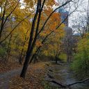 The Best Time to Visit Toronto, Season by Season