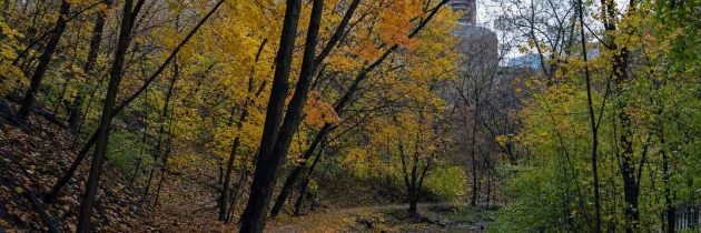 The Best Time to Visit Toronto, Season by Season
