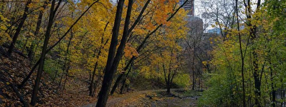 The Best Time to Visit Toronto, Season by Season